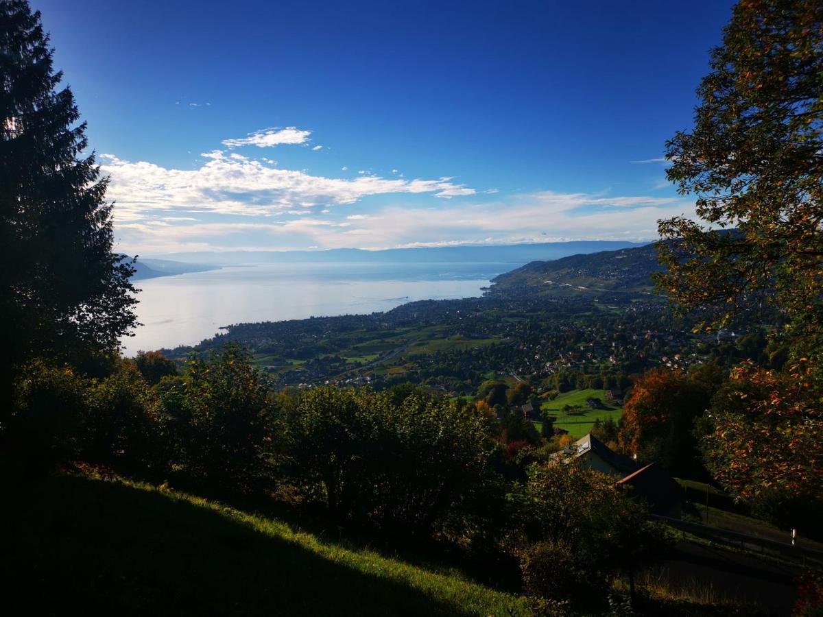 Elvira House Montreux, Un Lieu Magique ! Vila Exterior foto